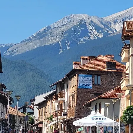In Cedar 3 * Μπάνσκο