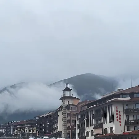 In Cedar 3 * Μπάνσκο